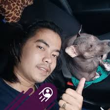 Truck for rent per day