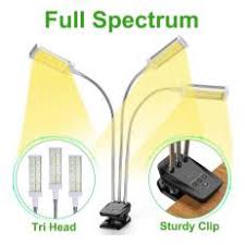 Designed for indoor use, this light will help your seedlings get the light they need to grow healthy and strong. Grow Lights For Indoor Plants Hgtv