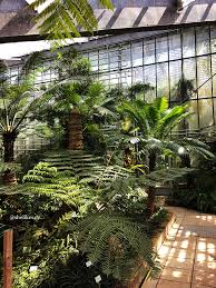 Was ist ein botanischer garten ? Freiburgliebe Ausflug In Den Botanischen Garten Der Universitat Freiburg Shelikes