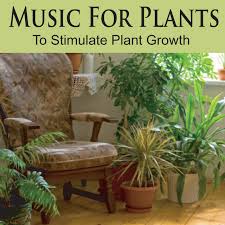 Or use it as a bluetooth speaker (it actually sounds really good!). Music For Plants To Stimulate Plant Growth Plant Music Music For Gardens Album By Nature Sounds Artists Spotify