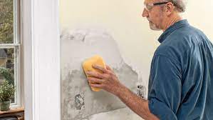 While this material is incredibly. How To Repair Holes In Lath And Plaster Walls Two Ways This Old House