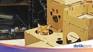 We did not find results for: Gemasnya Kumpulan Rumah Kucing Terbuat Dari Karton