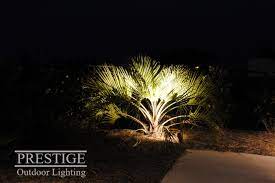 Make Those Palms Pop With Some Basic Accent Lighting Landscape Lighting Holiday Lights Outdoor Outdoor Lighting