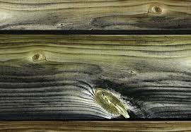 How To Paint Pressure Treated Wood Pressure Treated Wood Staining Pressure Treated Wood Staining Wood
