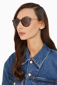 Buy Ray-Ban Brown Erika Classic Polarized Sunglasses For Women Online