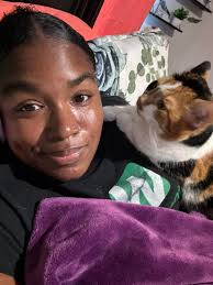 Looking for FELV cat companion in Clearwater FL