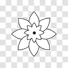 Bingkai sertifikat hitam putih, hd png download. Gambar Bunga Putih Pada Desain Latar Belakang Transparan Bunga Musim Semi Bunga Png Dan Vektor Dengan Latar Belakang Transparan Untuk Unduh Gratis
