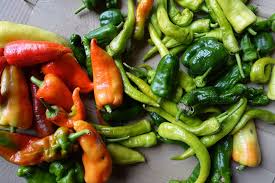 If there is a delay between harvesting and freezing it depends upon how cold is your freezer and how you packed them. How To Ripen Bell Peppers Indoors Sara S Kitchen Garden