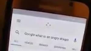 Check spelling or type a new query. People Are Asking Google What An Angry Dragon Is It S Not What You D Expect Metro News