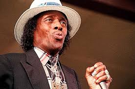 Junior Wells Musician