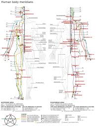 meridian chinese medicine wikipedia