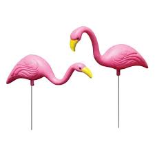 Mini Mingos Flamingo Garden Flamingo Pink Flamingos