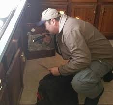 Find local pest control near you. Pest Control Services Attention Pest Solutions