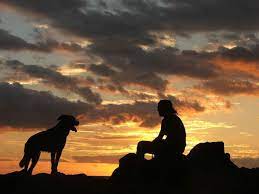 Il cane nella storia, un'amicizia tra uomo e animale che inizia nella notte dei tempi - Amici animali - 7giorni