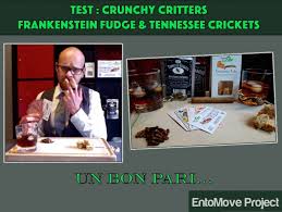 Manger Des Insectes A Londres Entomoveproject
