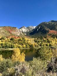 You will see a service road up near the reservoir. Bells Canyon Trail Sandy 2021 All You Need To Know Before You Go With Photos Tripadvisor