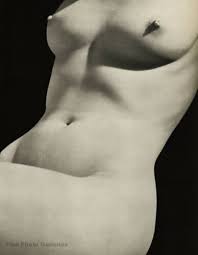 1948 Vintage Female Nude Body Torso By ROGER SCHALL Naked Woman Photo  Gravure | eBay