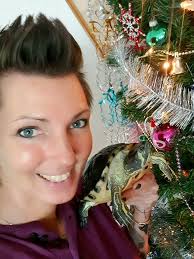 Thank you to @everyone who has hidden, re-hidden and found a Henry's Turtle  Adventures turtle. 🐢🐢 We love seeing every single one. We are so close to  receiving 500 members, which is