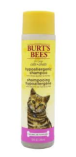 When it comes to the best brush for cat grooming, there is no single recommendation. Burt S Bees For Cats Hypoallergenic Shampoo With Shea Butter And Honey Best Shampoo For All Cats And Kittens Hypoallergenic Shampoo Cat Grooming Cat Brushing