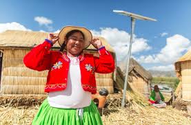 Es un bono especial que forma parte del plan de emergencia económica del gobierno, y que tiene como objetivo apoyar a las familias más. 100 Millones De Dolares Disponibles Para Pymes Y Proyectos Renovables En Peru Pv Magazine Latin America