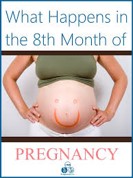 eighth month of pregnancy