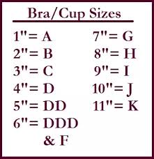 Bust measurement two to four inches larger than chest measurement is usually an a cup, three to five inches larger is a b cup, four to six inches larger is a c cup, five to seven inches larger a d cup, and so on. How Does Hanes Measure Bra Sizes Quora