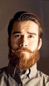 Gentleman S Beard The English Beard Beard Styles Beard Styles For Men Beard Balm