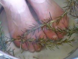 Utilisation Du Romarin Romarin Soin Des Pieds Bain De Pied
