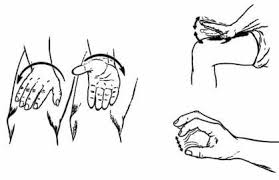 Image result for Rapid Alternating Movements