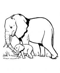 Little elephant with big eyes. Elephants Free Printable Coloring Pages For Kids