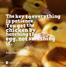 The Key To Everything Is Patience You Get The Chicken By Hatching The Egg Not Smashing It Arnold Glasow Happy Quotes Be Patience Inspirational Words