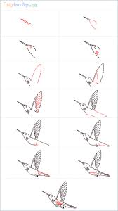 How to draw a hummingbird draw an oval at a slight angle. How To Draw A Hummingbird Step By Step 12 Easy Phase Video