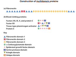 Chem 365 Exam 2 Review Sheet Flashcards Quizlet