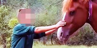 Setiap tahunnya menjelang halloween, mitos amerika akan penunggang kuda tanpa kepala muncul kembali —meski kini cerita ini menjadi diingat orang sepanjang tahun karena ada program televisi. Tak Disangka Hewan Hewan Jinak Ini Sanggup Memotong Penis Manusia Merdeka Com