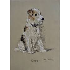 1930 S 1940 S Lucy Dawson Wire Haired Terrier Named Taffy Framed Print From The Book Dogs Rough And Smooth Dog Print Art Dog Drawing Vintage Dog