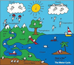Image Only Waterworldcyclemat Jpg 531 466 Water Cycle For Kids Apologia Physical Science Water Cycle