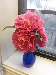 Camellias Marie Bracey Flowers Rose Camellia