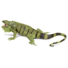 She is well socialized with little children and other animals, and will make a perfect companion for you and your family. Safari Ltd Iguana Green Buy And Offers On Trekkinn
