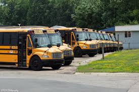 Image result for School Bus Yellow 1994 Truck