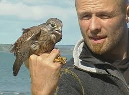 Duhallow Raptor Conservation Project: Who's who?