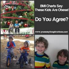 Bmi Charts Say My Children Are Obese And Why Im Angry