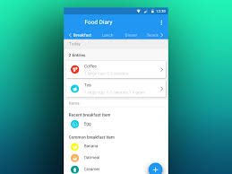 Diary helps you get in shape. Food Diary App Screen Uplabs