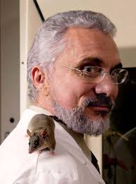 SFBR Annual Report 2G1907.qxp