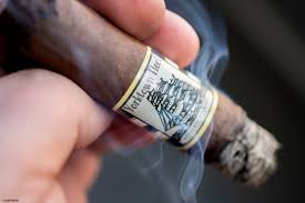 Image result for Medium Brown 2013 Fleet