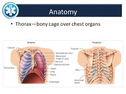 It consist of four chambers, four valves, arteries (named as coronary arteries), and the conduction system. Chapter 35 Chest Trauma Ems 475 Dr Sadia Farhan Ppt Download