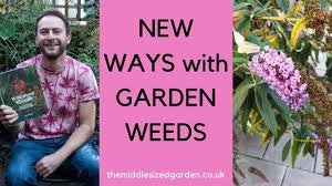It is a ground bone that has flowers that look like tiny morning glories. Garden Weeds A New Approach To Make Your Life Easier Youtube