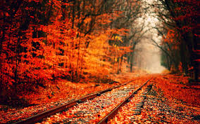 Enjoy cool canada wallpapers page 1 for android, ios, macox, linux, windows and any others gadget or pc. Canadian Railroad Wallpapers Wallpaper Cave