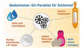 Da bleiben keine fragen offen!silikonfugen sind. Schimmel Im Bad Entfernen 5 Tipps Die Wirklich Helfen