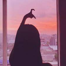 Photos of anime couple facebook. Aesthetic Matching Profile Picture For Couples Novocom Top