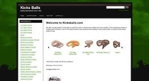 Access Shop Kicksballs Com Ball Python Morphs For Sale Online